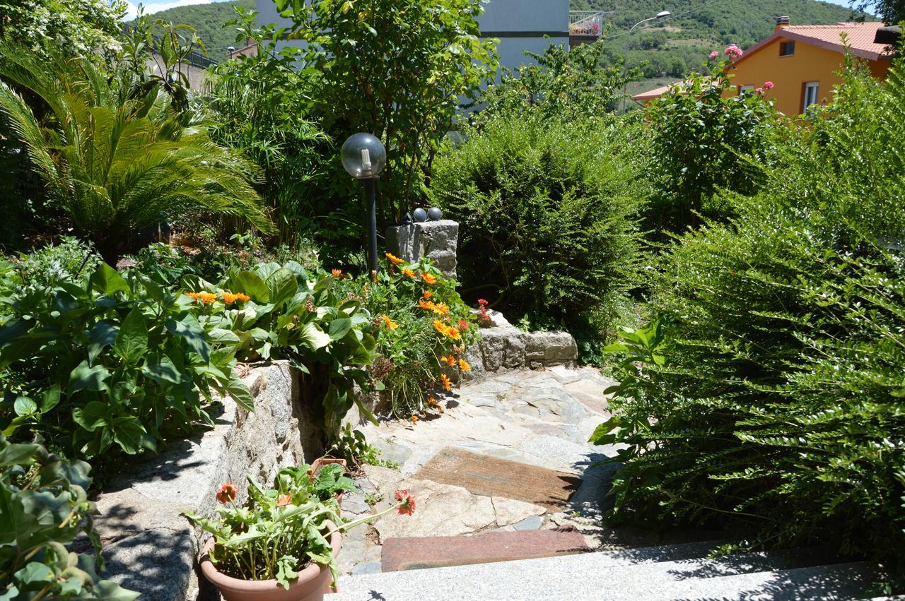 Pietro & Graziella Bed & Breakfast Sorgono Exterior photo